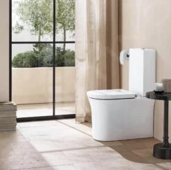 Duravit White Tulip - Duoblok Toilet, Vario Afvoer, Rimless, Wit 2197090000 8 Duravit White Tulip - Duoblok Toilet, Vario Afvoer, Rimless, Wit 2197090000 -Thuis-Badkamer 11c50fd311697bb996da586f