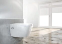 Ideal Standard ProSys - Toiletset- Inbouwreservoir, Douche-WC, WC-zitting TECEone, Oleas M2 Bedieningsplaat, Rimless, SoftClose, Mat Chroom ProSys80M SP128 -Thuis-Badkamer 326f46c22f84fddf09fe03d9