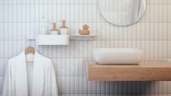 Hansgrohe WallStoris - Wandstang 700 Mm, Mat Wit 27904700 -Thuis-Badkamer 5bf6f797742e656a2fe21693 1