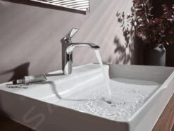 Hansgrohe Vivenis - Wastafelkraan 110, Incl. Afvoergarnituur, EcoSmart, Chroom 75020000 -Thuis-Badkamer 6ddf82ca9c94e6fc0eee670d