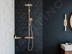 Hansgrohe AddStoris - Hoekplanchet, Geborsteld Brons 41741140 -Thuis-Badkamer 8d6998d3524374134cbd55b5