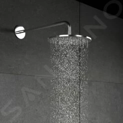 Steinberg 100 - Hoofddouche, Diameter 200 Mm, Chroom 100 1687 -Thuis-Badkamer b4faf32a0c02e432101905e5